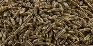 Cumin Seeds