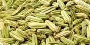 Fennel Seeds