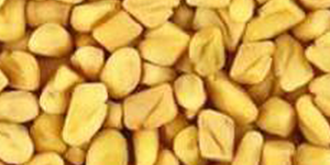 Fenugreek Seeds