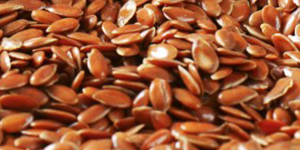 Flax Seeds