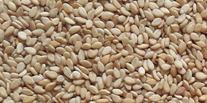 Natural Sesame Seeds