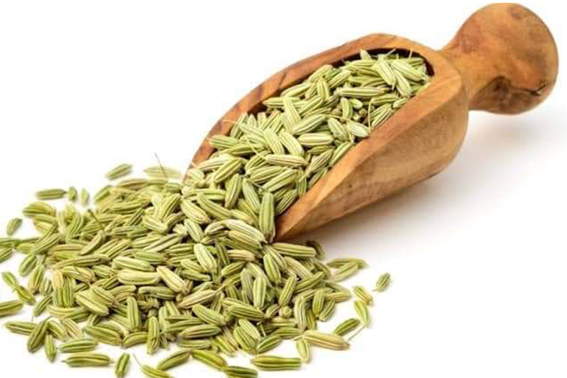 Fennel Seeds