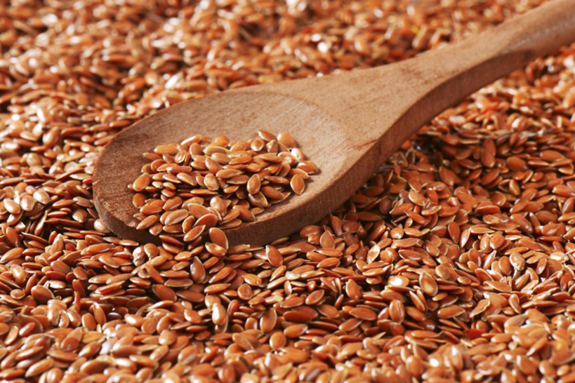 Flax Seeds